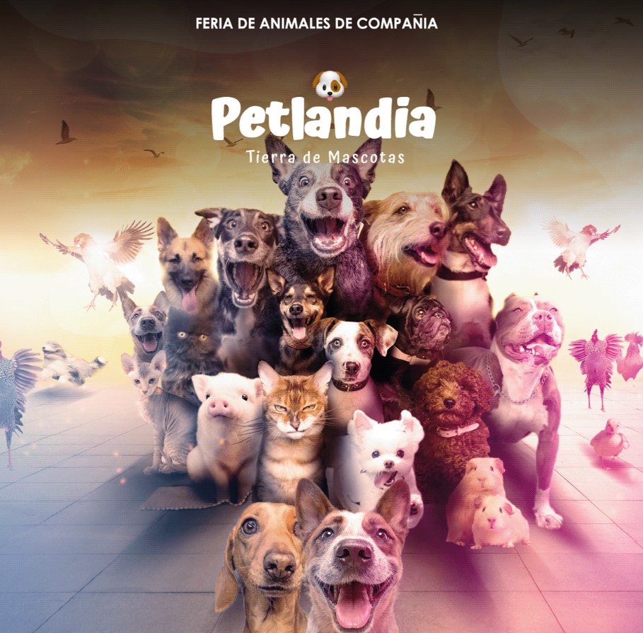 Captura de pantalla 2024-06-27 165650