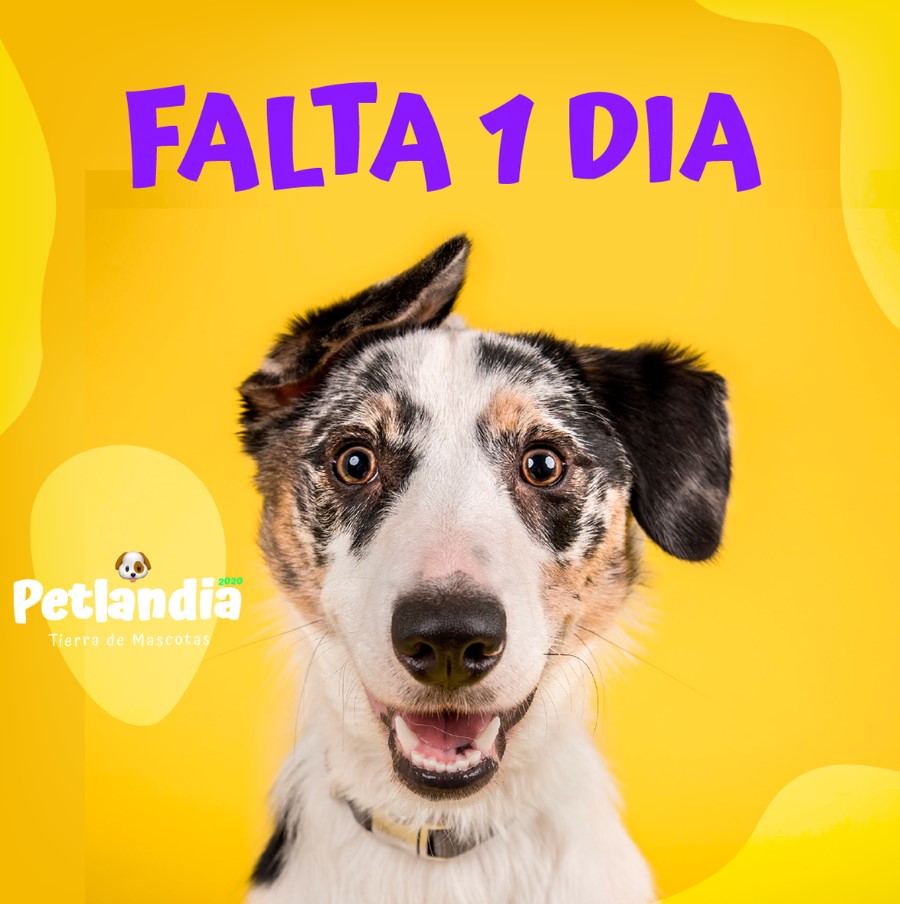 Captura de pantalla 2024-06-27 165810