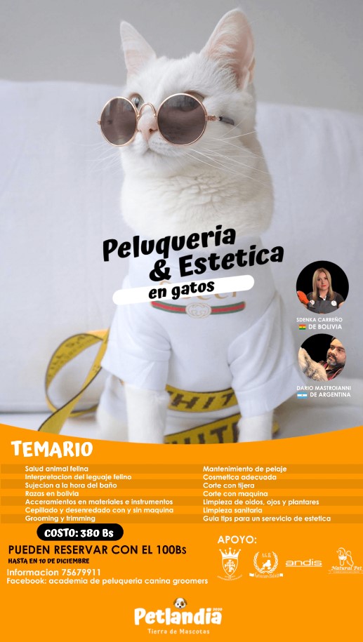 Captura de pantalla 2024-06-27 165914